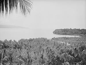 Masakra Na Plantacjach Tol I Waitavalo: Upadek Rabaulu, Odwrót Lark Force i japoński pościg, Masakra jeńców wojennych