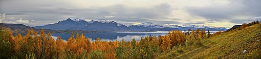 Panorama dei fiordi Herjangsfjorden e Ofotfjorden