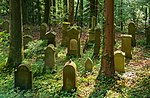 Liste Jüdischer Friedhöfe In Deutschland: Liste der Friedhöfe (unvollständig), Weblinks, Literatur