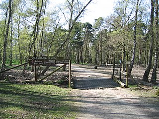 Parc animalier de Kommern