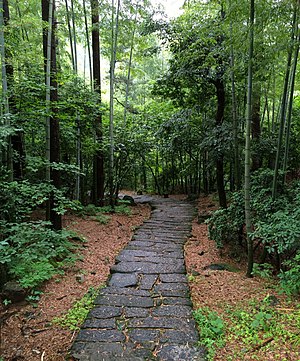 மூங்கில்