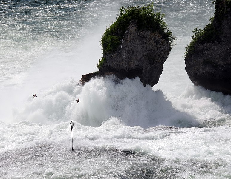 File:Huge waterquantities erode the rock isles in the middle of the Schaffhausen waterfall. The fall is some 150 m width and has a height of 23 m. When we visited its flowcapacity was almost 600 m3 pro second. Spectacular - panoramio.jpg