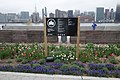 Hunters Point South Pk td (2019-04-14) 159.jpg