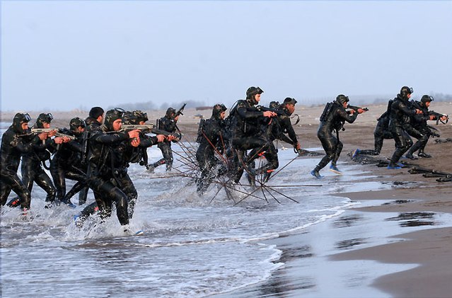 IRGC's naval special forces, S.N.S.F.