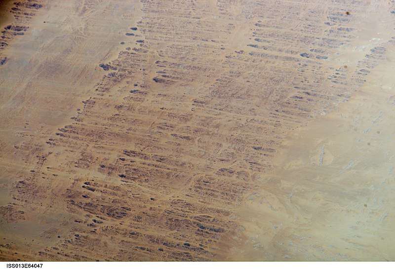 File:ISS013-E-64047 - View of Niger.jpg