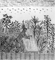 From the Drake manuscript, this is a drawing done by an anonymous Frenchman in the 16th century. It shows an Indigenous garden planted with papaya, pineapple, maize, beans, and cucurbits. Indian garden from Histoire Naturelle des Indes.jpg