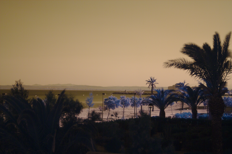 File:Infrared Beach and Palm Trees (13981342115).png