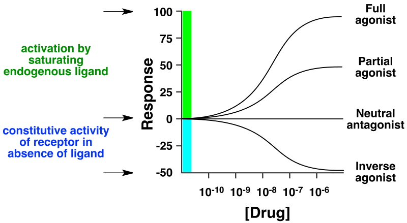 Dose response curves of a full agonist, partial agonist, neutral antagonist, and inverse agonist
