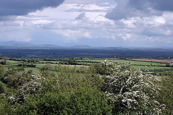 Looking east across the broad plains of South Kildare to the distant Wicklow Hills.