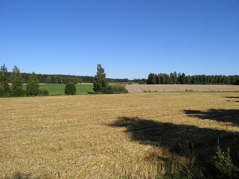 File:Järvenpää Hämeenkoski pelto.JPG