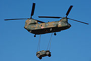 JGSDF CH-47 20090111(Narashino)