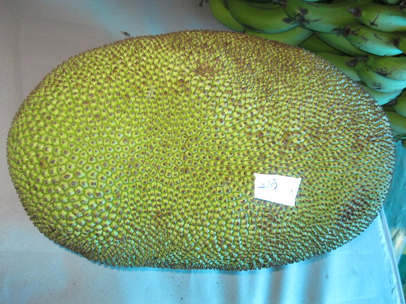 File:Jack fruit kerala.JPG