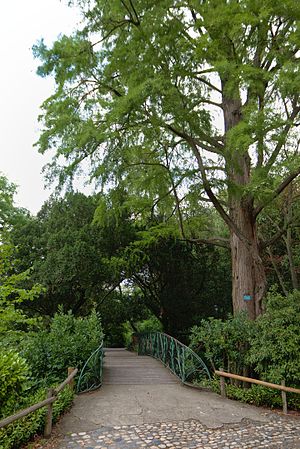 English: A bridge in the Jardin des Plantes, in Toulouse. Français : Un pont dans le Jardin des plantes de Toulouse.