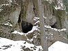 Opatovská jeskyně