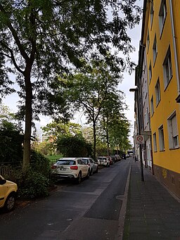 Köln Herkulesstraße Allee