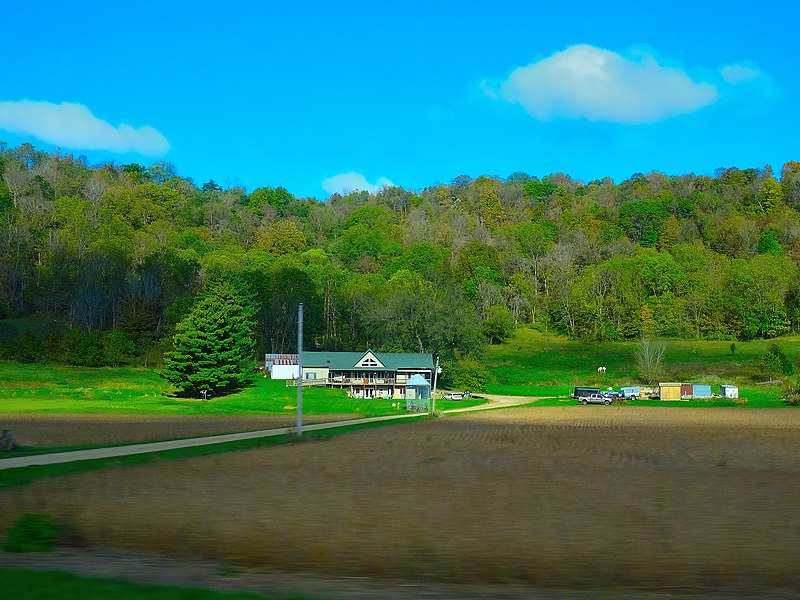 File:Kalish Family Estate - panoramio.jpg