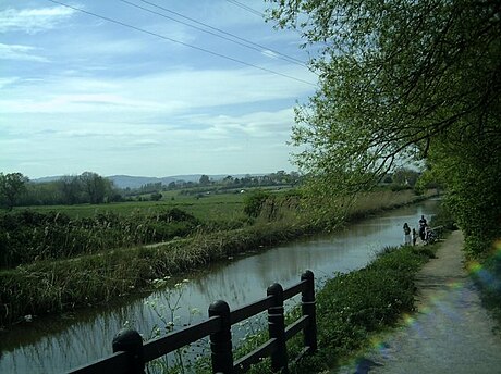 File:Kanal Taunton Bridgwater.jpg