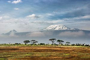 Blick vom Amboseli-Nationalpark auf den Kilimandscharo, Kenia