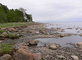 Узбережжя Фінської затоки в Комарово