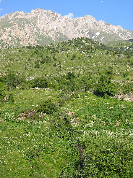 File:Korab.jpg