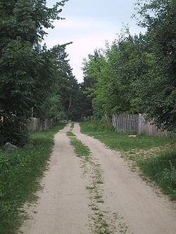 Kruzy (województwo podlaskie) droga.jpg
