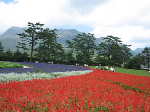 De bloementuinen van het park met de Kujū-san op de achtergrond