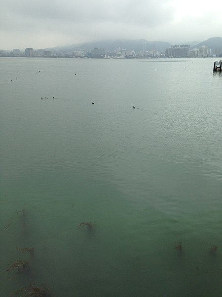 File:Lake Biwako from Yanagasaki Lakeside Park 1.jpg