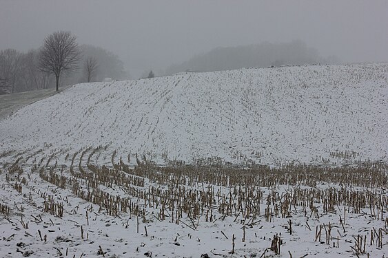 Aufgenommen beim schlechten Wetter. Gablenz-Ortsteil von Stollberg. Erggebirgskreis. Sachsen.