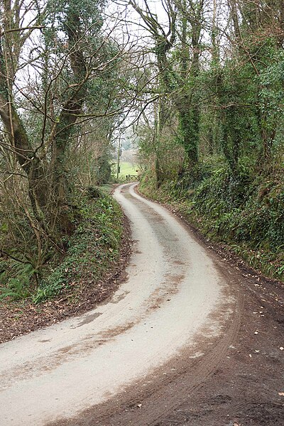 File:Lane at Polbrook - geograph.org.uk - 5420094.jpg