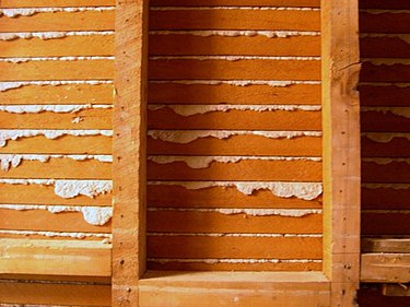 Lath seen from the back with brown coat oozing through Lath.jpg