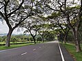 * Nomination: A main road in Universiti Putra Malaysia --Wee Hong 16:48, 9 March 2023 (UTC) * * Review needed