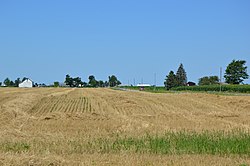 Stoppelfeld südwestlich von West Leipsic