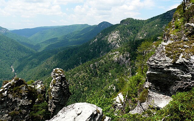 Linville Gorge Wilderness in the Pisgah National Forest.