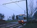 A tram crossing Lloyd Park Avenue.