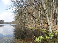 Le lac Lubygość, en Pologne.