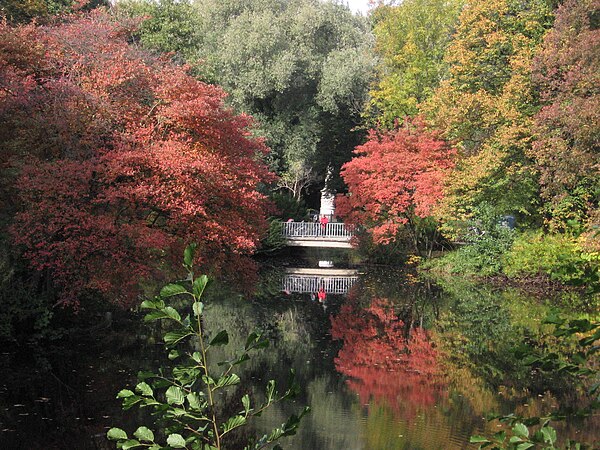 Luiseninsel in autumn