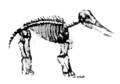 M. Arcta słownik ilustrowany języka polskiego - ilustracja do hasła Megatherium.png