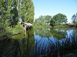 Lavoir (openbare wasplaats)