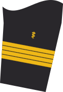 Ärmemärke på jackan i servicedräkten för bärare av marinblå uniform (humanmedicin).