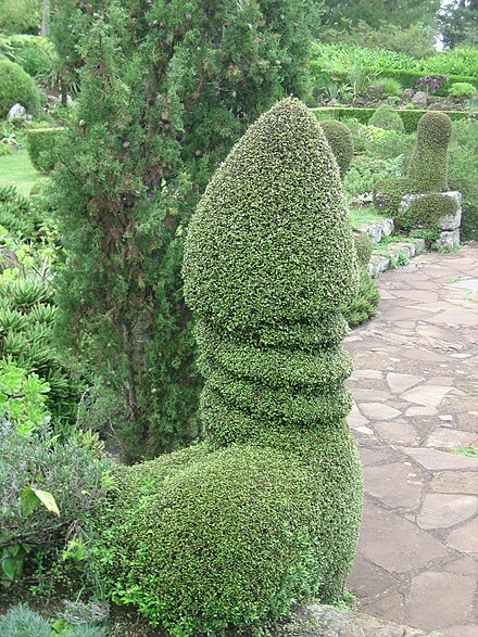 Jardins Do Palheiro: The Sunken Garden