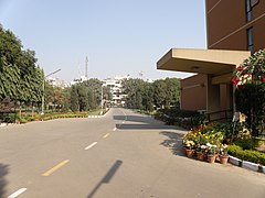 Main road inside the Institute