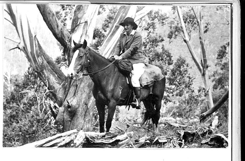 File:Maisie Carr on a horse, Bogong High Plains, 1949.JPG