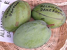 Mangga AlampurBaneshan Asit fs.jpg