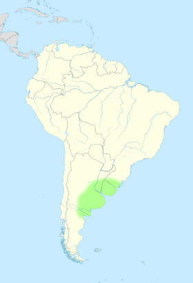 přibližná poloha a hranice pampy zahrnující jihovýchodní oblast Jižní Ameriky při hranicích s Atlantským oceánem