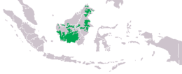 Utbredelseskart for Borneoorangutang