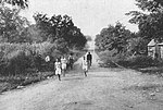 Vorschaubild für Olympische Sommerspiele 1904/Leichtathletik – Marathon (Männer)