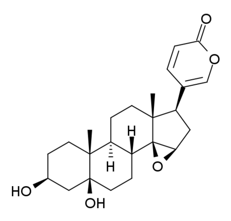 Marinobufagenin