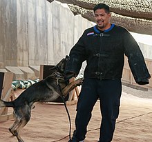 Mark Muñoz in bite suit at Al Asad Air Base.jpg