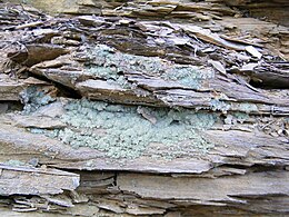 Melanterite2 - Copperas Mountain, Paxton Township, Ross Co, Ohio, USA.jpg