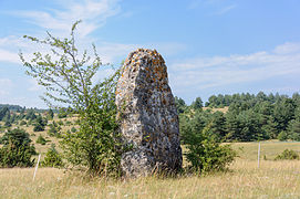 Menhir du Fraïsse, Causse Méjean, Lozère.